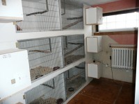 /album/fotogaleria/a21-12-2010-stiahnute-z-karty-katarine-darovana-447-jpg/